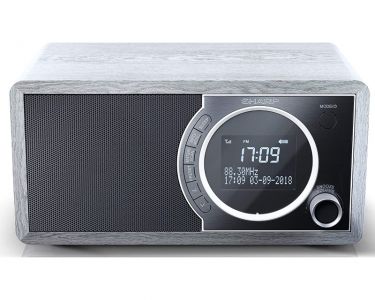 Sharp DR-450GR Digitalni bluetooth radio