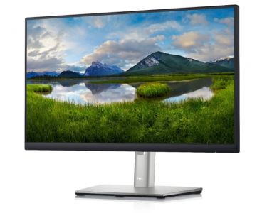 Dell 21.5 inch P2222H Professional IPS monitor